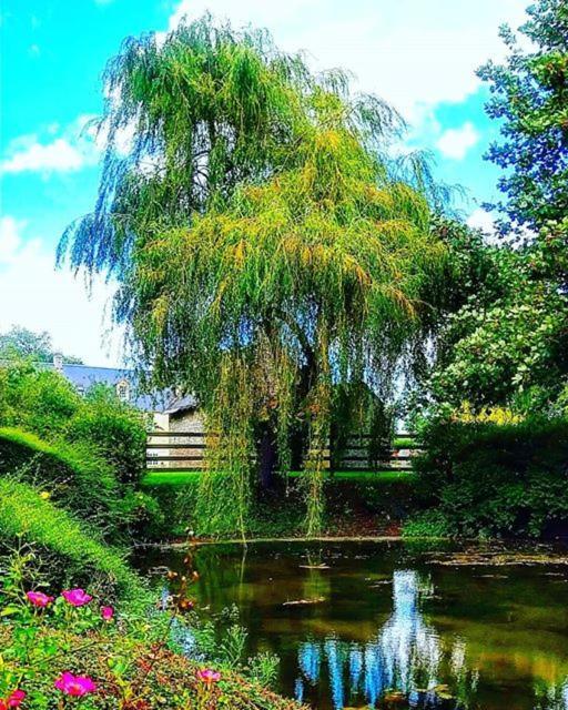 Hotel Le Manoir De Mathan Crepon A La Campagne 5 Mn D'Arromanches Et 10 Mn De Bayeux Zewnętrze zdjęcie